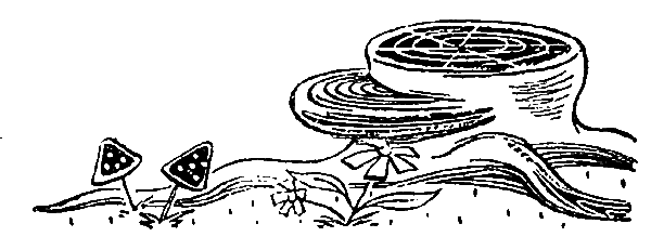 Пять Робинзонов - pic_34.png