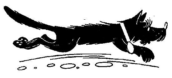 Пять Робинзонов - pic_45.png