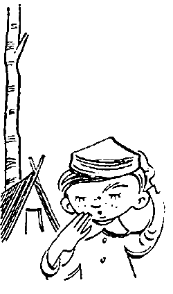 Пять Робинзонов - pic_49.png