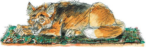 Рассказы - i_008.jpg