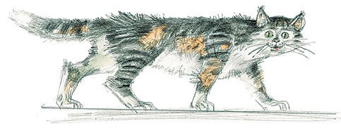 Рассказы - i_009.jpg