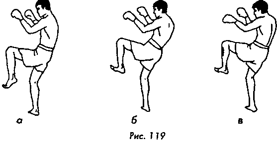 Тайский бокс в свое удовольствие - i_099.png