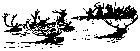 Листы каменной книги - pic_43.png