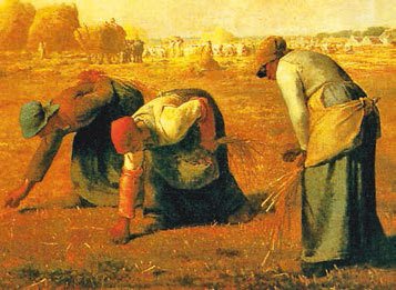 Всеобщая история. История Нового времени. 8 класс - i_228.jpg