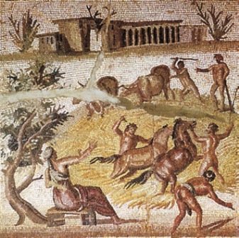 Всеобщая история. История Древнего мира. 5 класс - i_237.jpg