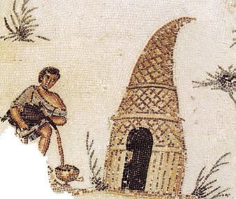 Всеобщая история. История Древнего мира. 5 класс - i_244.jpg