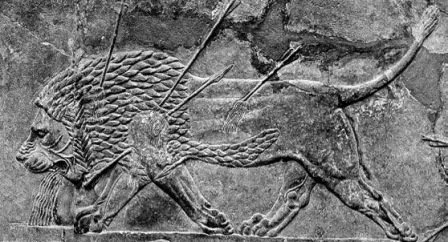 Всеобщая история с древнейших времён до конца XIX века. 10 класс. Базовый уровень - i_009.jpg
