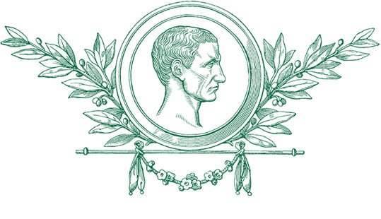 Разделяй и властвуй. Записки триумфатора - i_014.jpg