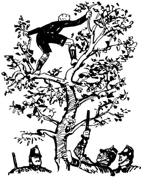 Спасенное сокровище - i_011.png