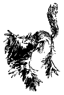 Повесть о Манко-Смелом - pic_6.png