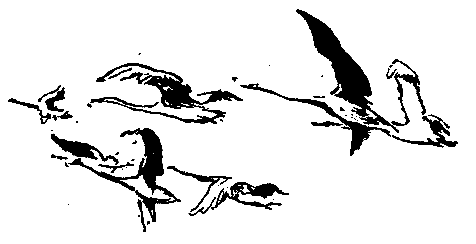 Повесть о Манко-Смелом - pic_33.png