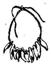 Повесть о Манко-Смелом - pic_34.png