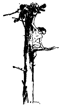 Повесть о Манко-Смелом - pic_51.png