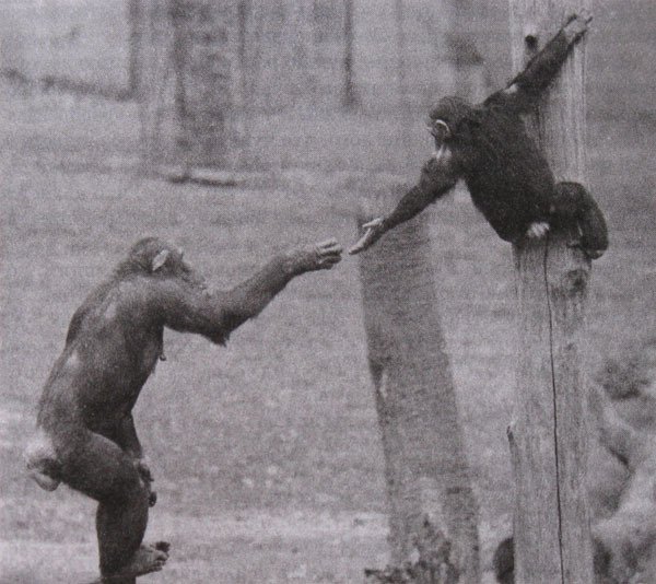 Мудрость Востока и Запада. Психология равновесия - i_006.jpg