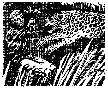 Преследование (сборник) - pic_5.png