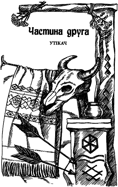 Чеслав. В темряві сонця - i_004.png