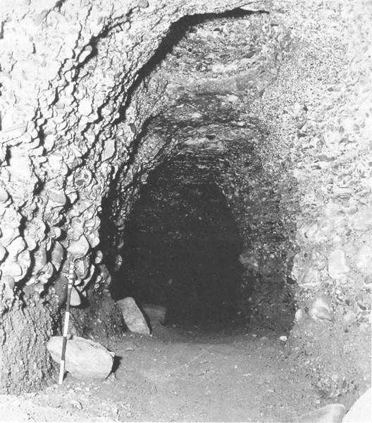 Искусство осады. Знаменитые штурмы и осады Античности - i_017.jpg