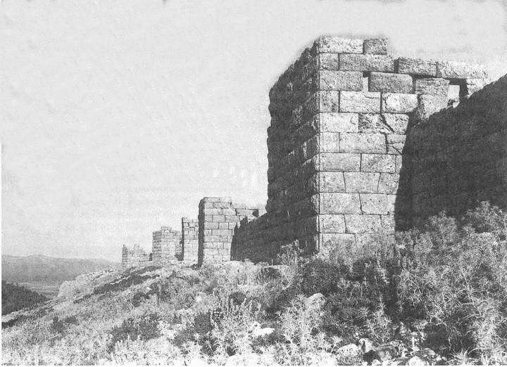 Искусство осады. Знаменитые штурмы и осады Античности - i_040.jpg