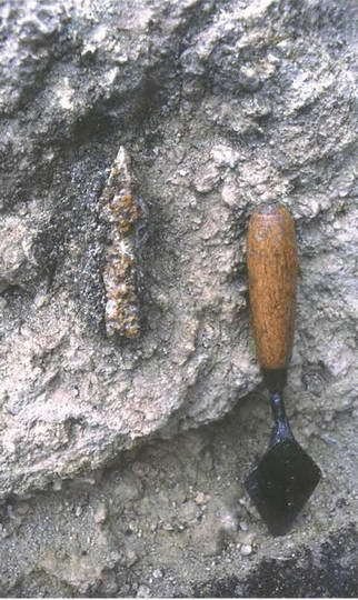 Искусство осады. Знаменитые штурмы и осады Античности - i_108.jpg