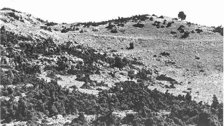 Искусство осады. Знаменитые штурмы и осады Античности - i_141.jpg