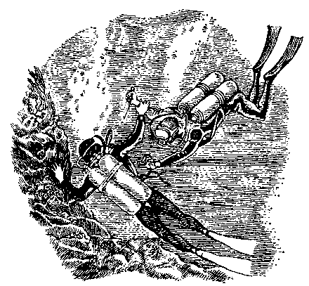 Грот афалины (илл. В. Барибы) - pic_16.png