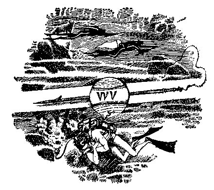 Грот афалины (илл. В. Барибы) - pic_4.png