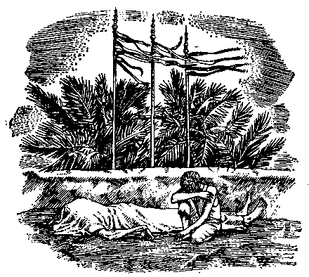 Грот афалины (илл. В. Барибы) - pic_7.png