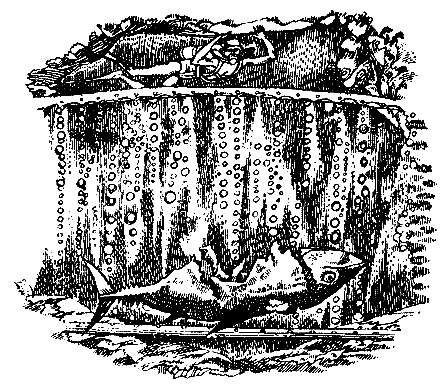 Грот афалины (илл. В. Барибы) - pic_23.png