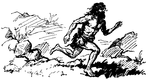 Каменный исполин (с илл.) - pic_15.png