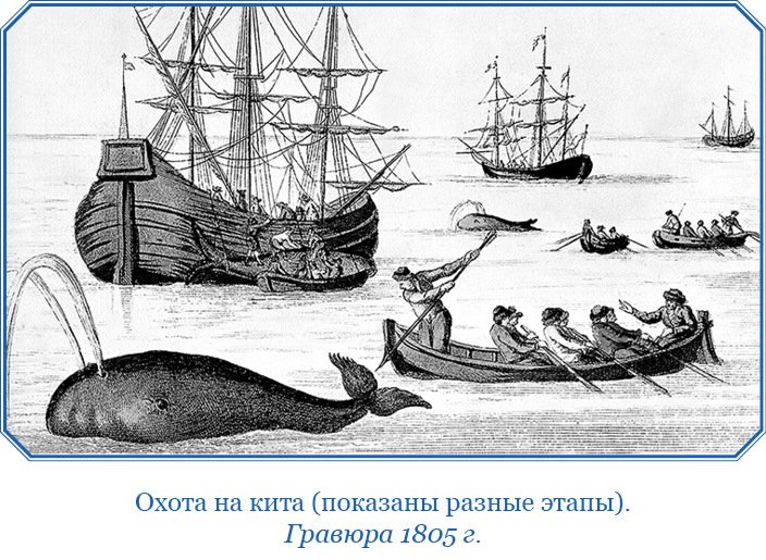 Путешествие по Сибири и Ледовитому морю (с илл.) - i_052.jpg