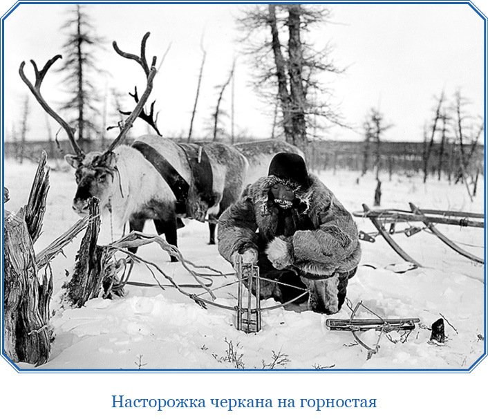 Путешествие по Сибири и Ледовитому морю (с илл.) - i_073.jpg