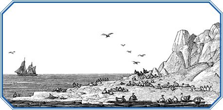 Путешествие по Сибири и Ледовитому морю (с илл.) - i_074.jpg