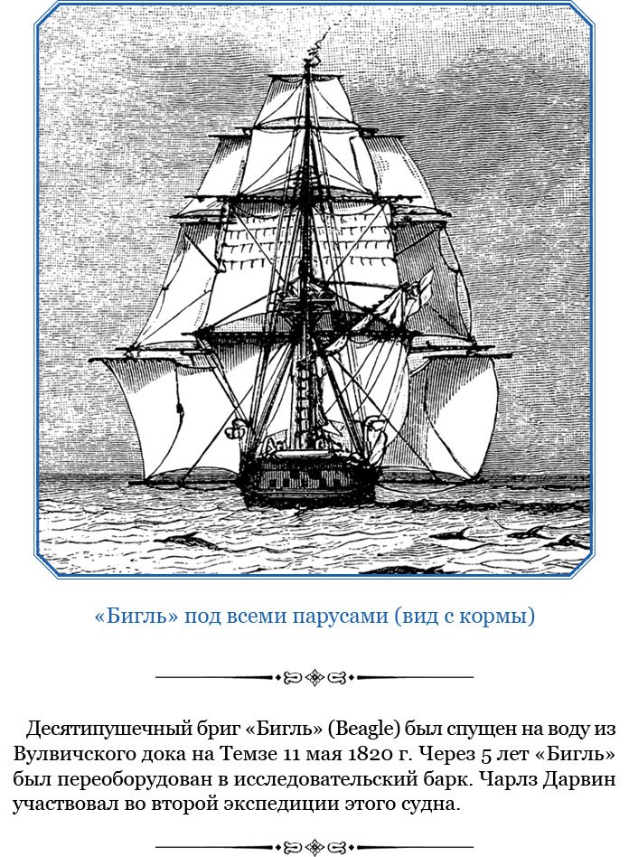 Путешествие вокруг света на корабле «Бигль» (с илл.) - i_007.jpg