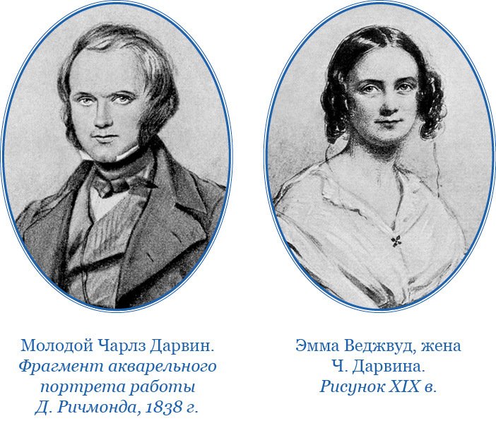 Путешествие вокруг света на корабле «Бигль» (с илл.) - i_008.jpg
