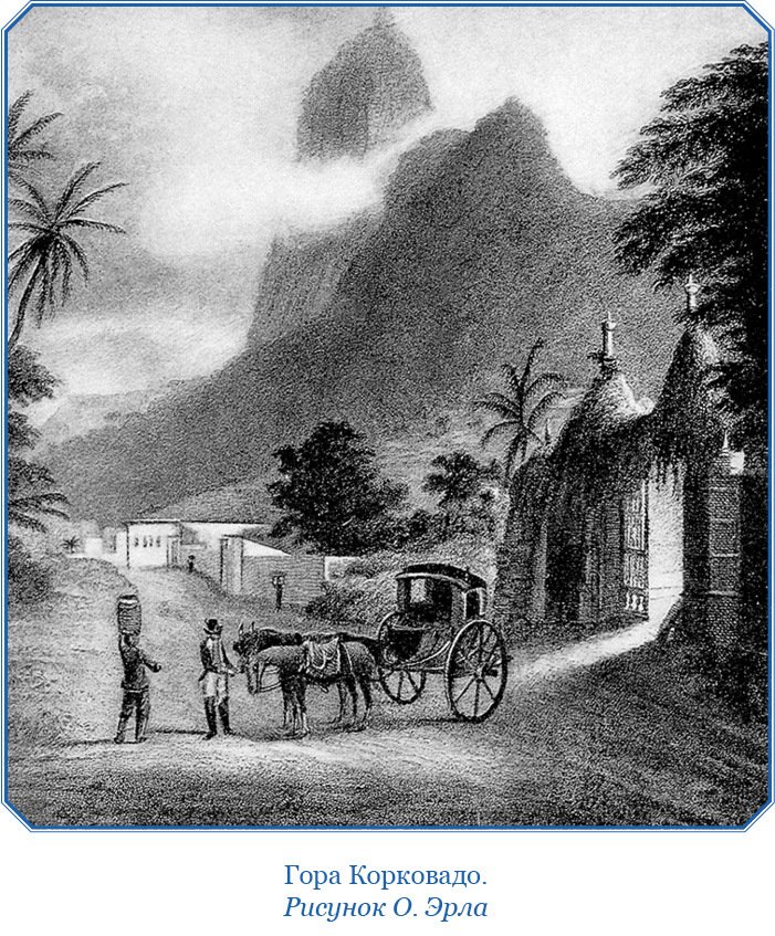 Путешествие вокруг света на корабле «Бигль» (с илл.) - i_015.jpg