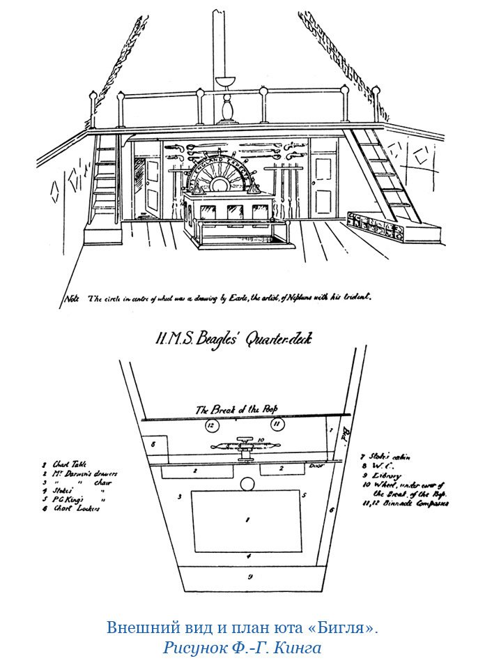 Путешествие вокруг света на корабле «Бигль» (с илл.) - i_016.jpg
