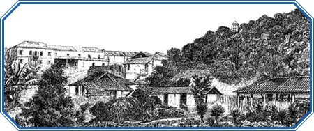 Путешествие вокруг света на корабле «Бигль» (с илл.) - i_046.jpg