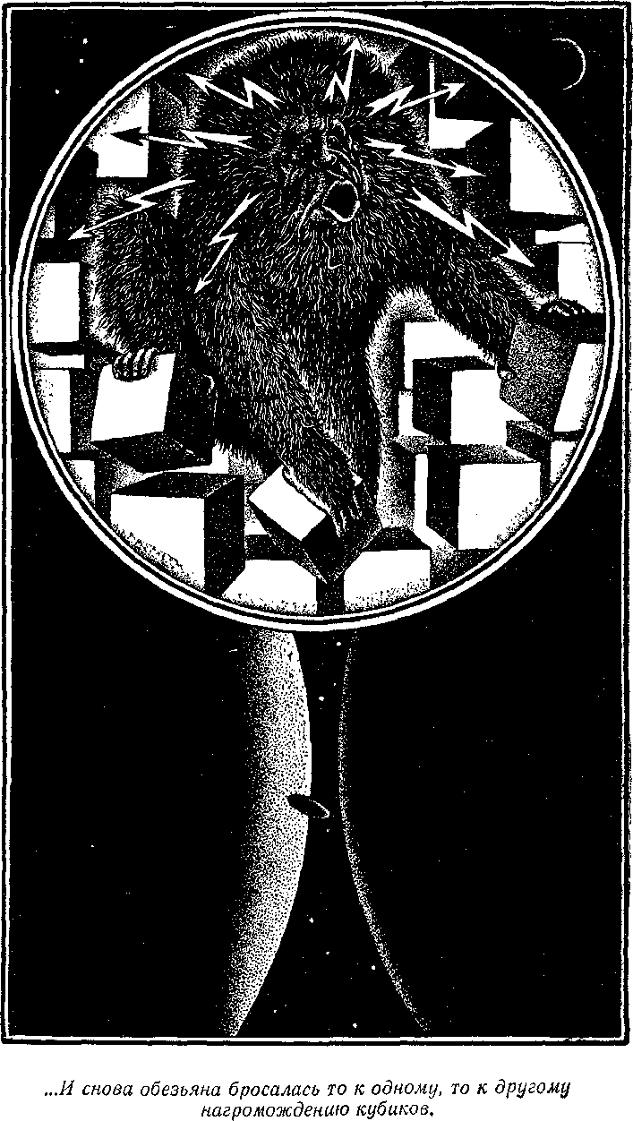 Посол без верительных грамот - i_017.png