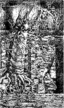 Экспедиция в иномир - i_007.png