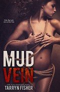Читать онлайн книгу Mud Vein автор Fisher Tarryn Книга Mud Vein