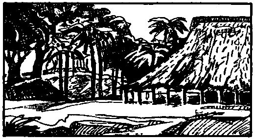 Охотники за каучуком - pic_11.png