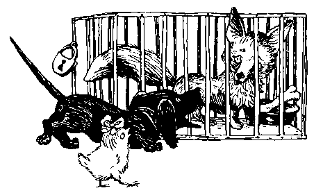 Тутта Карлссон Первая и единственная, Людвиг Четырнадцатый и др. Люди и разбойники из Кардамона. Шляпа Волшебника - pic_13.png