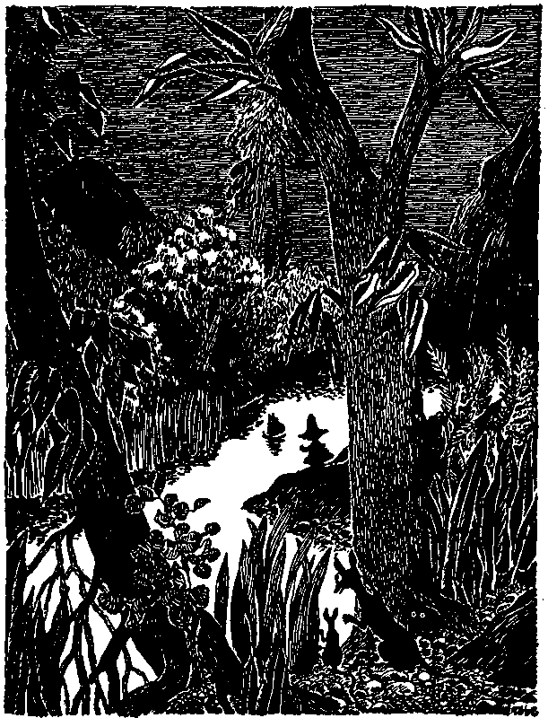 Тутта Карлссон Первая и единственная, Людвиг Четырнадцатый и др. Люди и разбойники из Кардамона. Шляпа Волшебника - pic_48.png