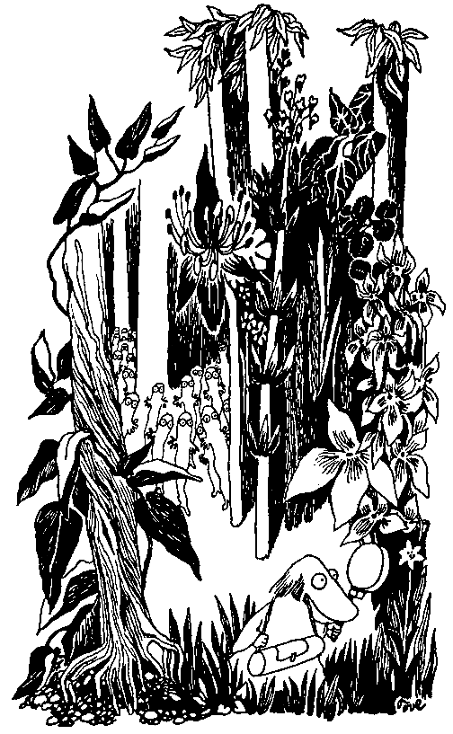 Тутта Карлссон Первая и единственная, Людвиг Четырнадцатый и др. Люди и разбойники из Кардамона. Шляпа Волшебника - pic_52.png