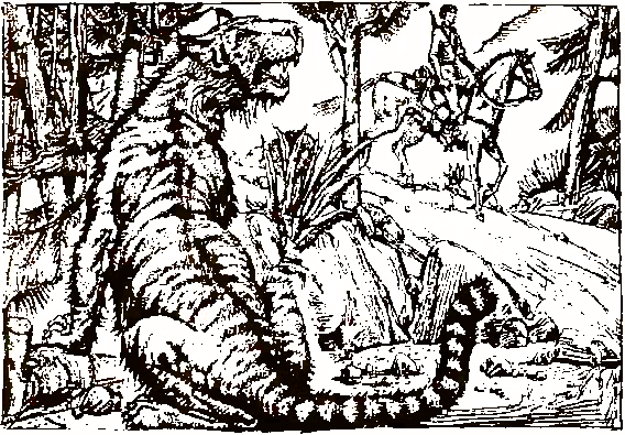 Хозяева джунглей. Рассказы о тиграх и слонах - i_006.png