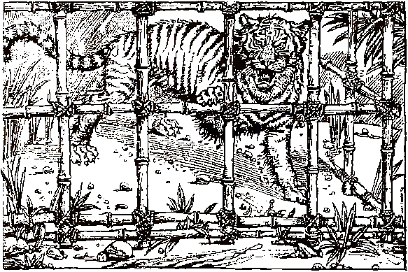 Хозяева джунглей. Рассказы о тиграх и слонах - i_007.png