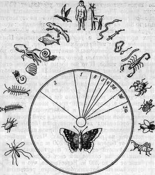 Возникновение и развитие жизни на Земле - i_009.jpg