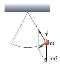 Естествознание. Базовый уровень. 10 класс - i_076.jpg