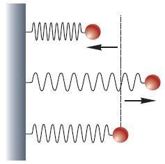 Естествознание. Базовый уровень. 10 класс - i_077.jpg