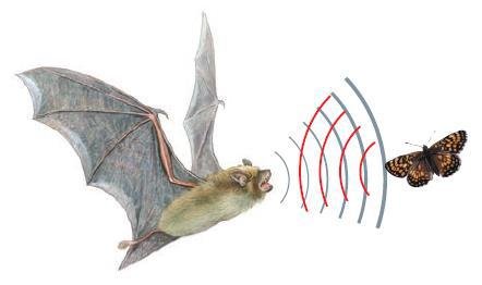 Естествознание. Базовый уровень. 10 класс - i_085.jpg